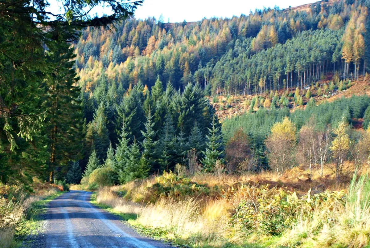 Galloway Forest Park