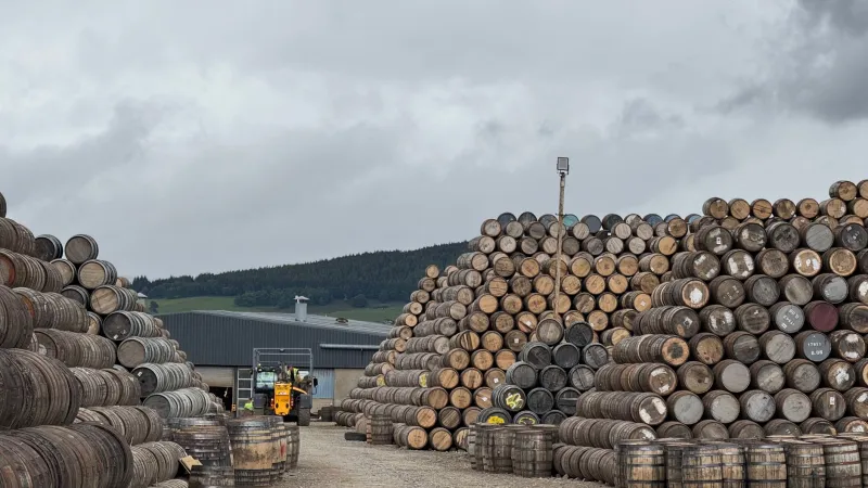 Cold Comfort: How Galloway's Winters Quietly Forge Bladnoch's Most Complex Flavours