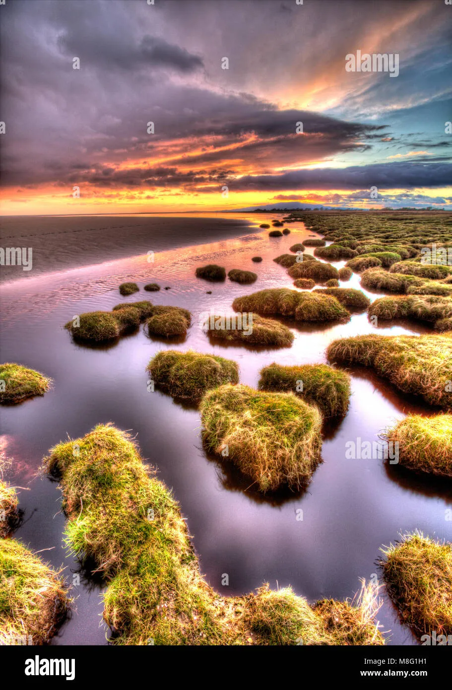 Solway Firth