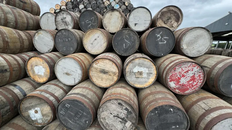 The Living Warehouse: How Galloway's Seasons Transform Every Drop of Bladnoch