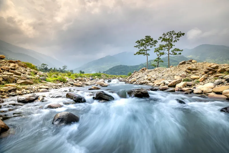 The Liquid Foundation: How the River Bladnoch Creates Scotland's Most Approachable Single Malt