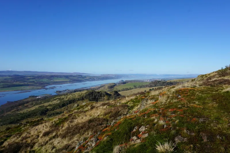 Seasonal Renewal: How Galloway's Spring Landscape Transforms the Bladnoch Experience