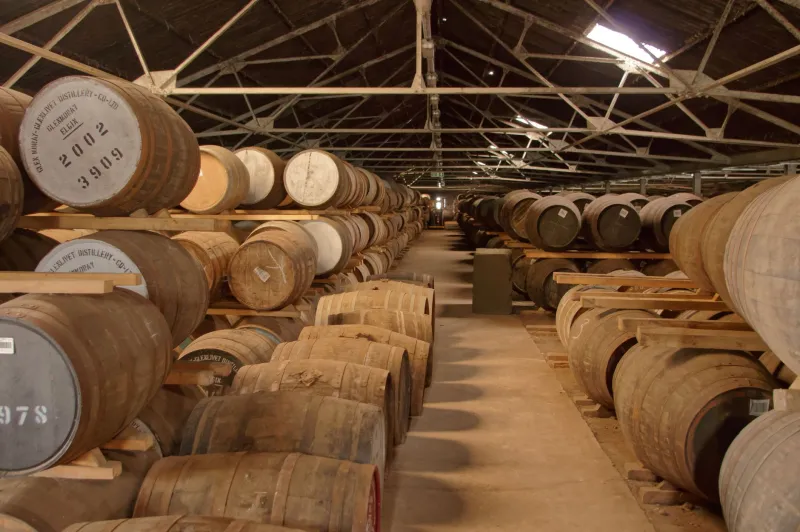 Water, Moor, and Memory: The Environmental Forces That Shape Every Bladnoch Dram