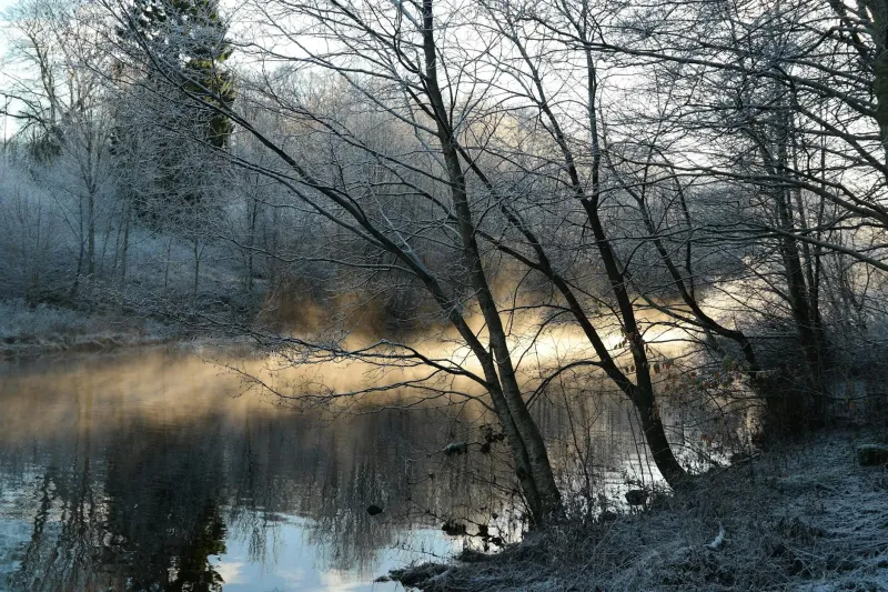 Winter's Hidden Reward: Why January at Scotland's Southernmost Distillery Offers Whisky's Most Authentic Experience